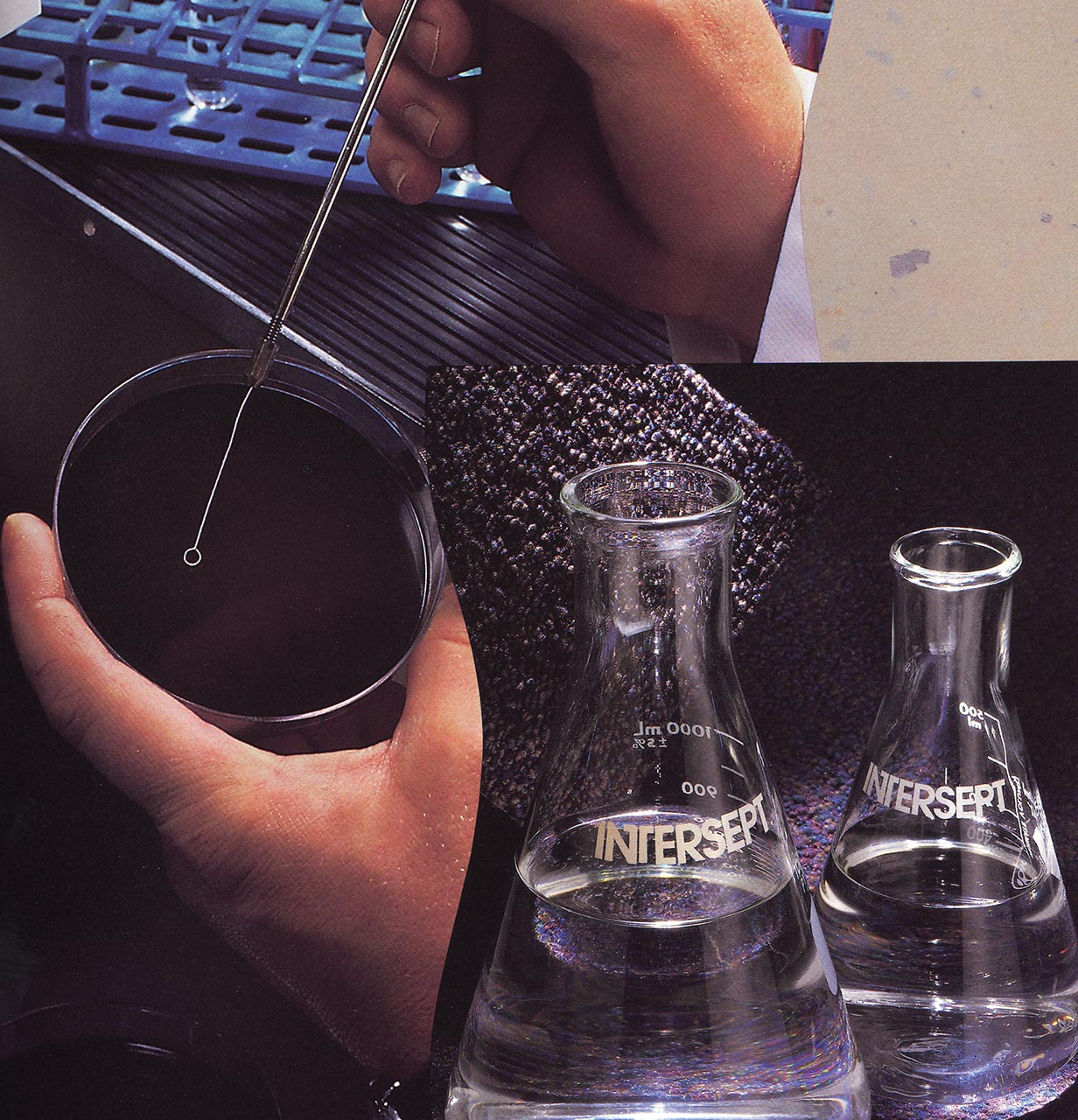 Preservative Protection