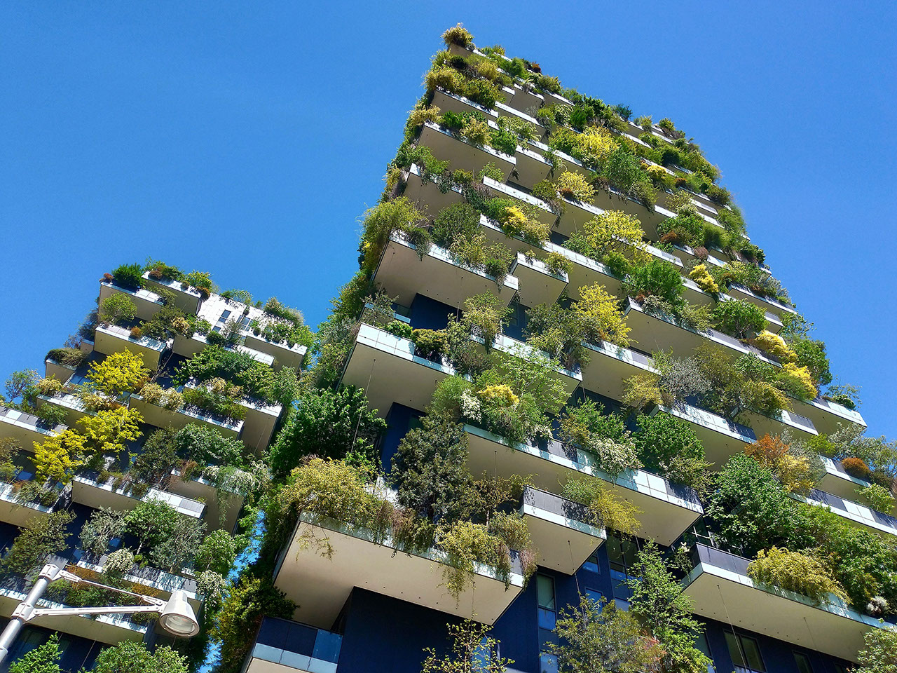Biophilic Design