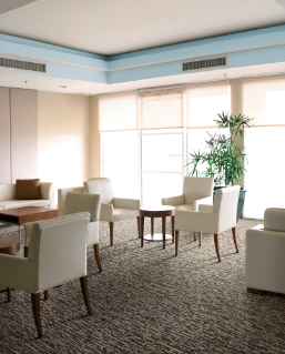 Residencias de Adultos Mayores