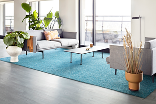 Area Rugs