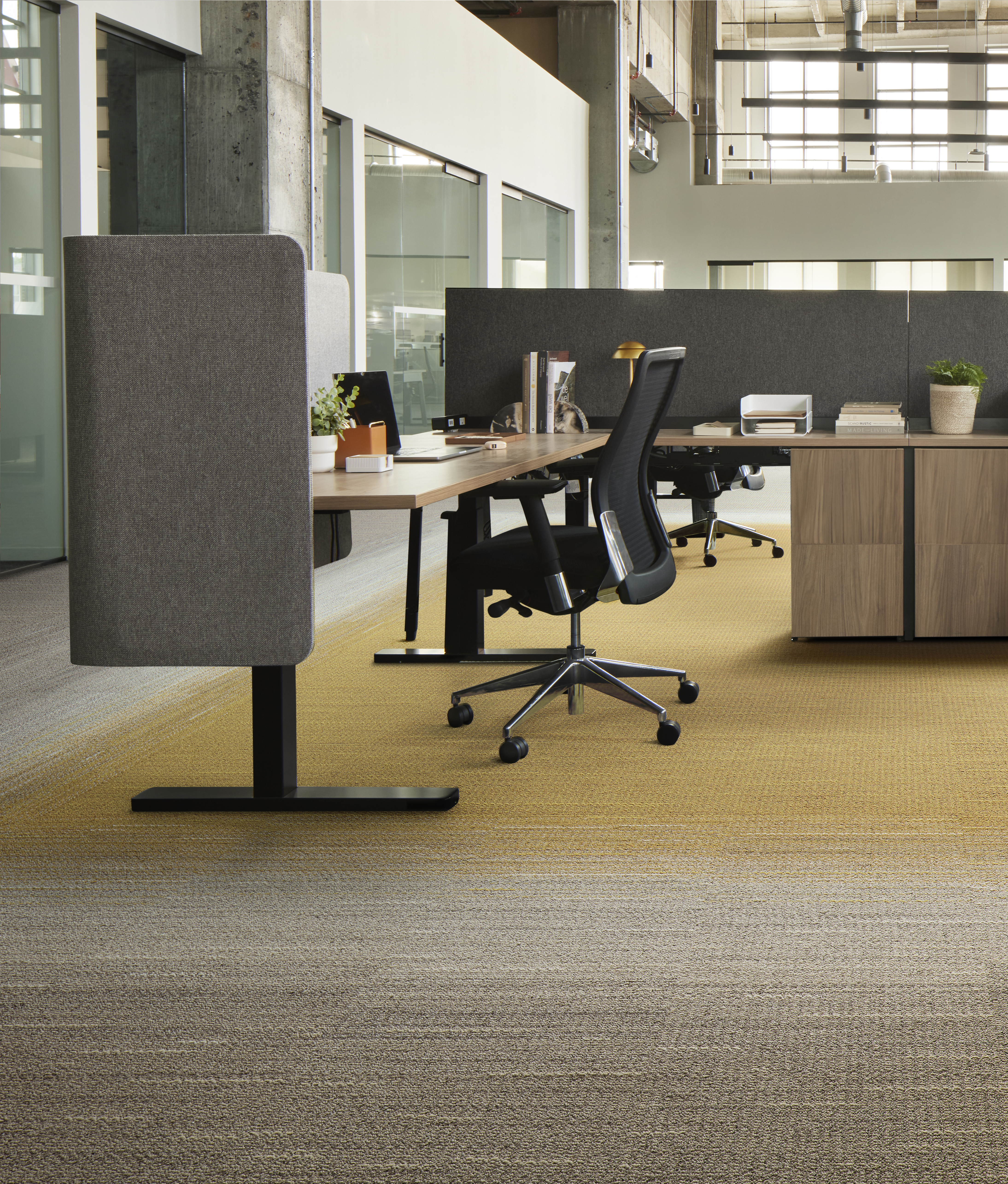 Interface WG100 and WG200 carpet tile in workplace open ofice area